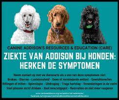Ziekte van Addinson