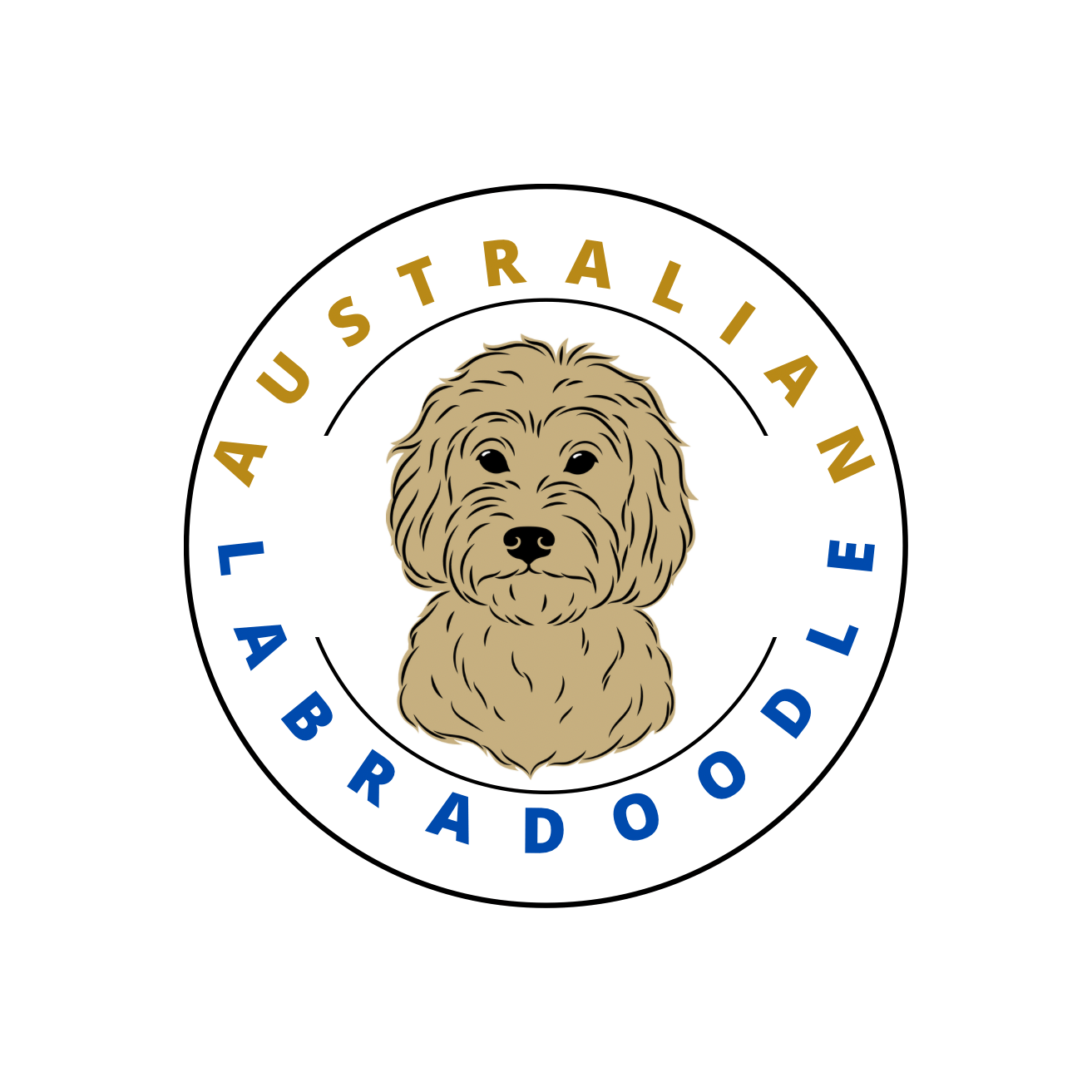 Australian LabraDoodles